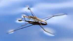 Co potřebujete vědět o vodních klastrech